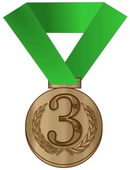 3rd place badge