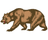 cali bear badge