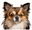 cute dog badge
