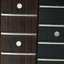 fretboard-necks-dots badge