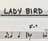 Lady Bird Turnaround badge