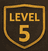 Level 5 badge