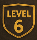 Level 6 badge