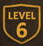 Level 6 badge