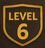 Level 6 badge