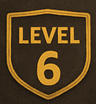 Level 6 badge