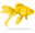 Yellow Fish badge